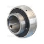 Sparex Plummer Block Bearing Insert (UC206)