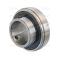 Sparex Plummer Block Bearing Insert (UC209)