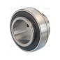 Sparex Plummer Block Bearing Insert (UC209)