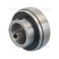 Sparex Plummer Block Bearing Inserts (UC205) (agropak 1szt.)