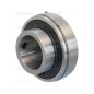 Sparex Plummer Block Bearing Inserts (UC207) (agropak 1szt.)