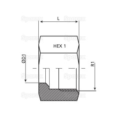 Dicsa Nakrętka metryczna M14 x 1.5 (8L)