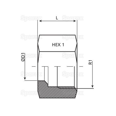 Dicsa Nakrętka metryczna M14 x 1.5 (8L)