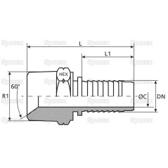 Dicsa NPT Wkłąd węża 1'' x 1 1/4'' Gwint męski Prosta 