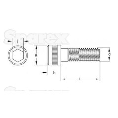 Śruba kołnierzowa SAE M8 x 30mm 