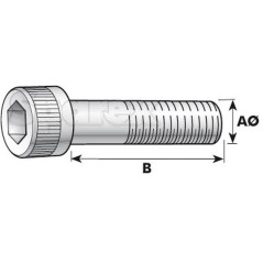 Śruby Zamykające, Wymiar: M6x40mm (DIN 912) 