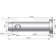 Sworzeń 22x113mm Kat. 1