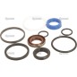 Zestaw uszczelniaczy do pompy S.65385 (Steering Cylinder Repair Kit)