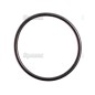 Uszczelnienie typu O'Ring 1/16'' x 1 1/4'' (BS26) 70 Shore