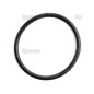 Uszczelnienie typu O'Ring 1/16'' x 15/16'' (BS21) 70 Shore