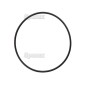 Uszczelnienie typu O'Ring 1/16'' x 2 3/8'' (BS36) 70 Shore